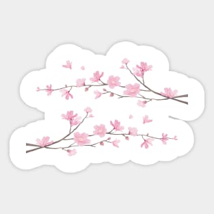 Cherry Blossom Branches – Transparent Background Sticker